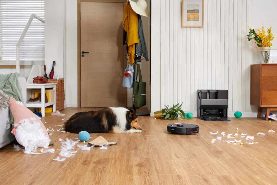 Les conceptions de produits Roborock compatibles avec les animaux de compagnie permettent d’innover en matière de soins aux animaux