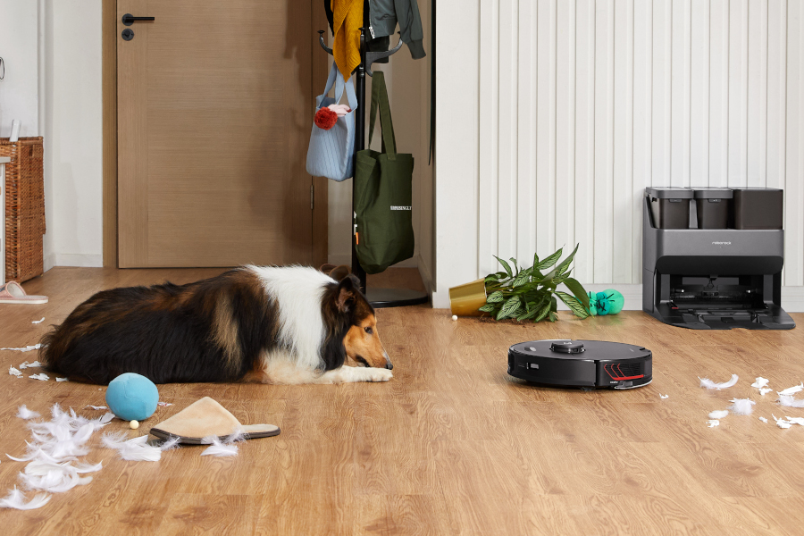 Saugroboter von Roborock: Perfekte Helfer für Haustierbesitzer